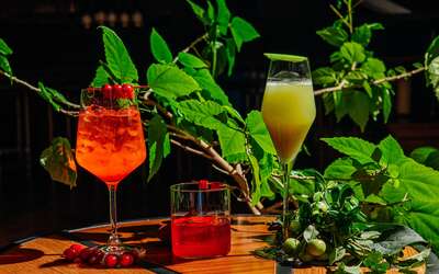 Сезонные коктейли: Green Bellini, Redberry Spritz, Beetroot Negroni