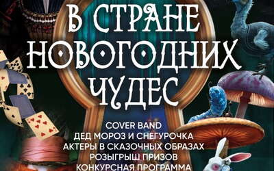Алиса в стране новогодних чудес
