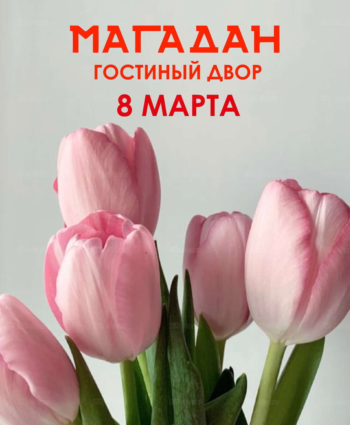 8 марта: кавер-группа, тюльпаны в подарок и приятные предложения в  ресторане Магадан - Восьмое марта - ТоМесто Москва