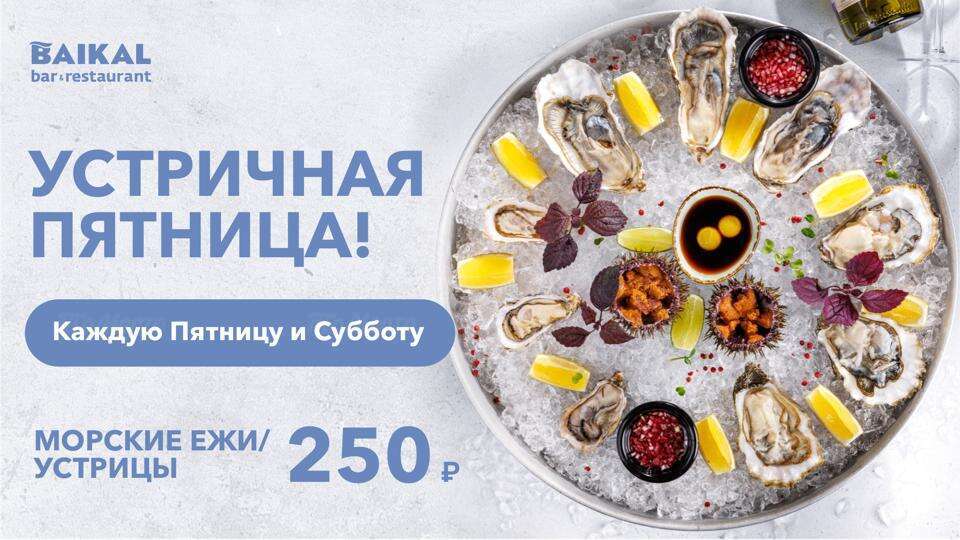 Морские ежи и устрицы за 250 ₽/шт