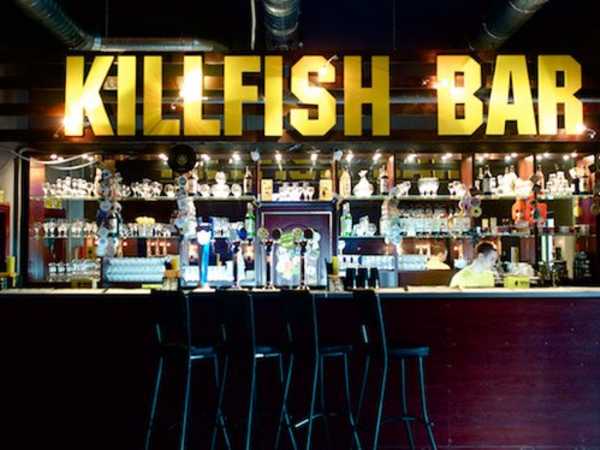 Killfish