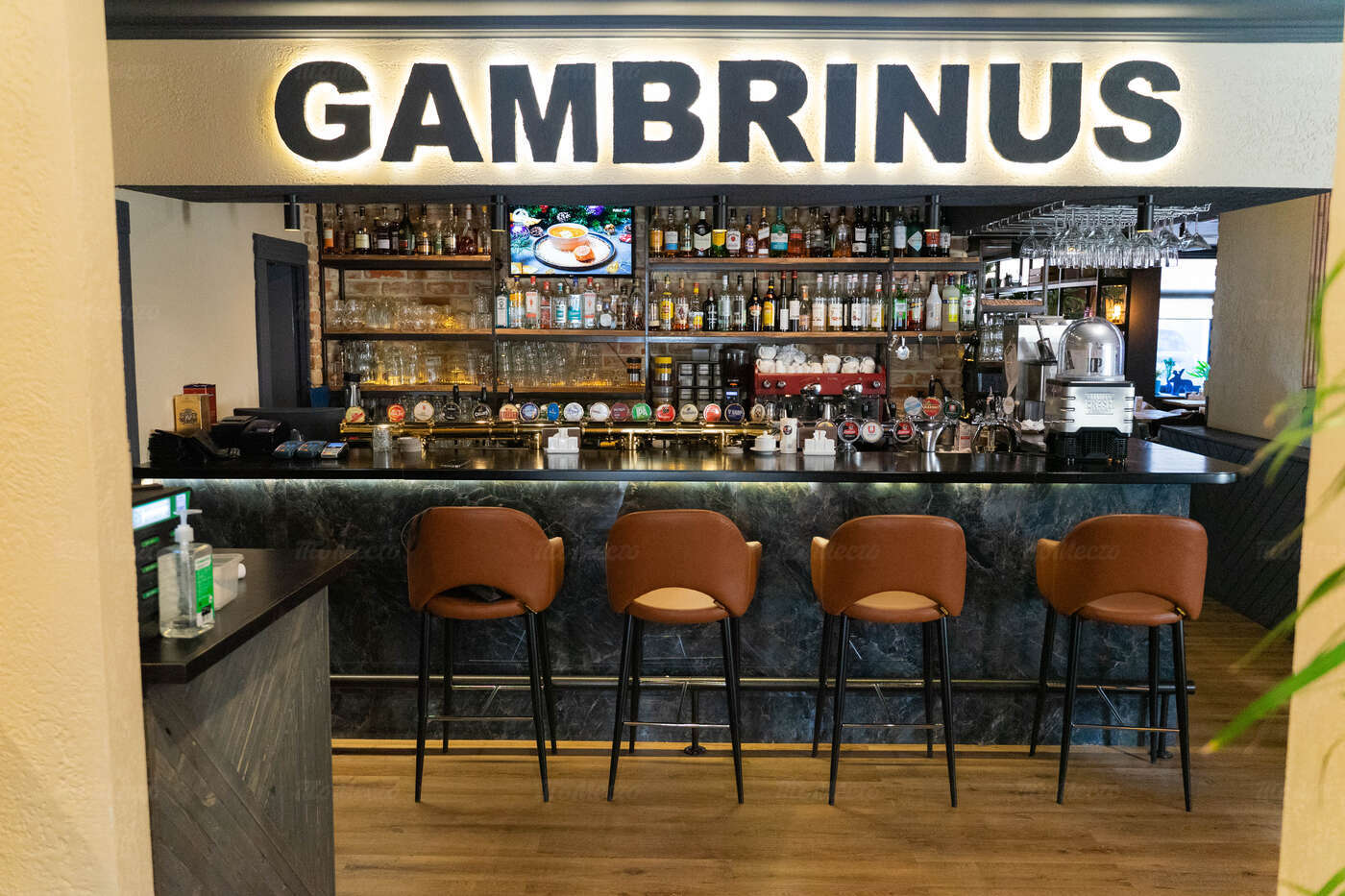 Гамбринус ресторан сайт