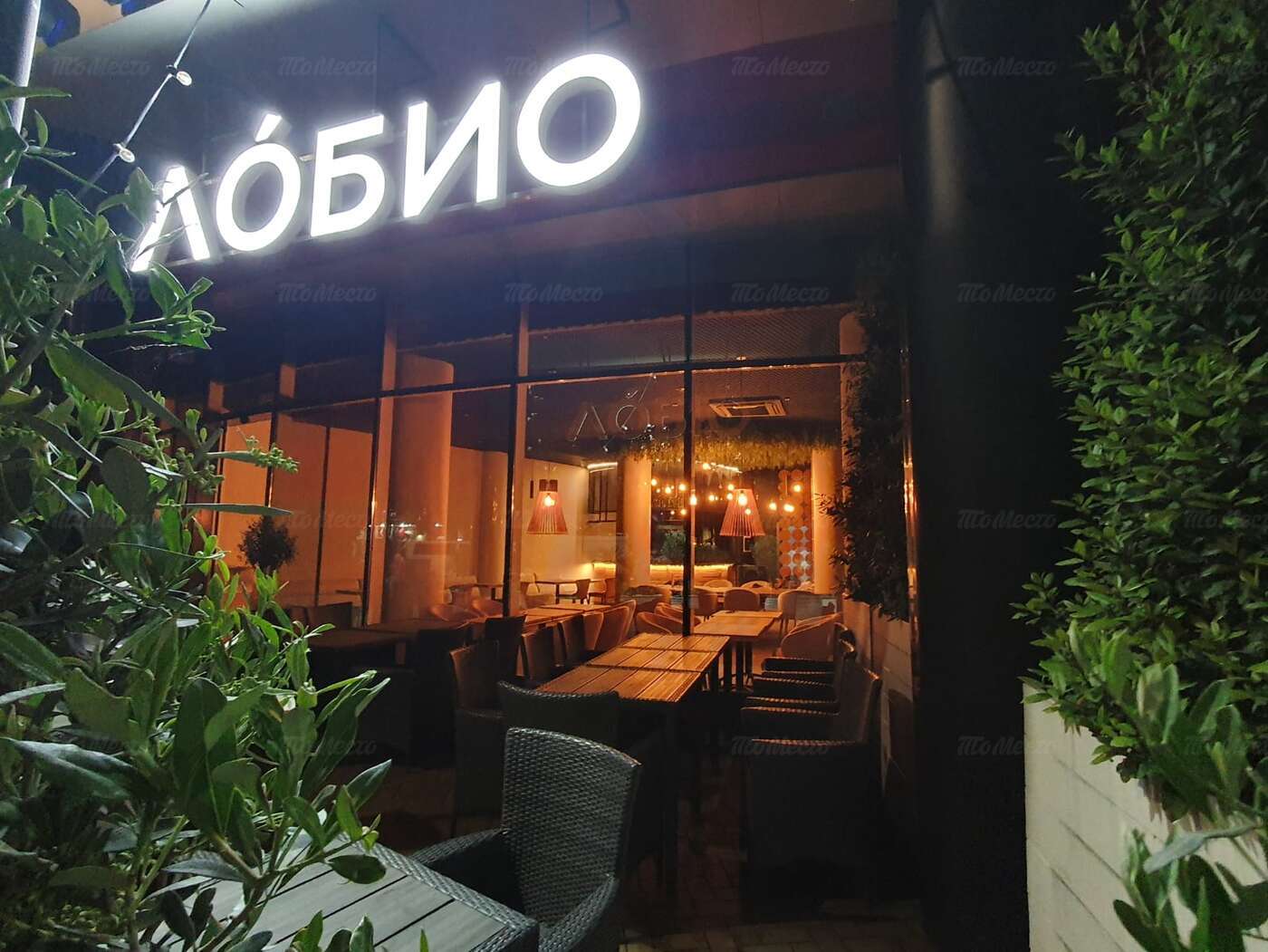 Ресторан Лобио (Lobio) на Демократической