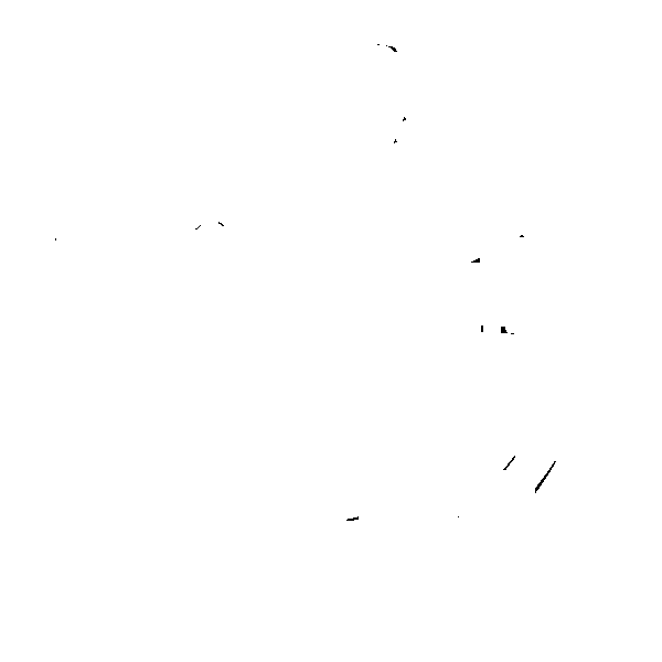 Stereo People Group