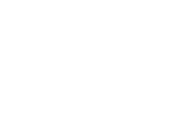 Geo Family