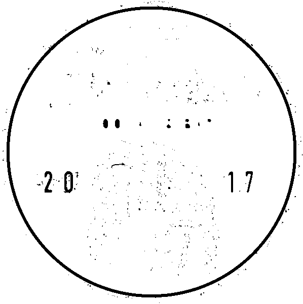 Siberia Lounge