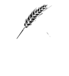 Хлебные истории